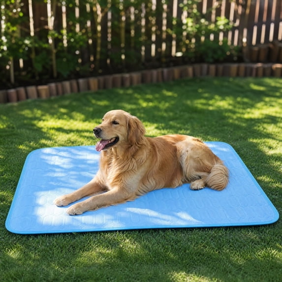 Pet Cooling Ice Mat, Gel Infused Summer Sleep Pad for Dogs & Cats, Non-Toxic Latex Sofa Protector, Self-Cooling Pad for Senior Pets & Warm Climates, Sky Blue