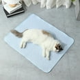 thumbnail image 1 of Pet Cooling Mat for Dogs & Cats, Large 30x21 Ice Silk Gel Pad, Non-Toxic & Chew-Resistant for Heat Relief, Perfect for Kennels, Crates & Indoor Use During Summer FAJHHA | Blue, 1 of 9