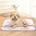 thumbnail image 1 of Pet Cooling Pad Foldable Self Cooling Mat Breathable Pet Cushion Sleep Pad for Dogs and Cats Cake and Cherries S, 1 of 9