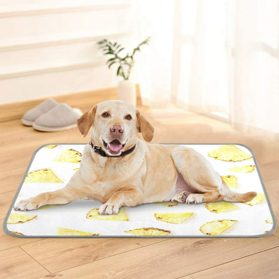 Pet Cooling Pad Foldable Self Cooling Mat Breathable Pet Cushion Sleep Pad for Dogs and Cats Crisp Pineapple Slices M