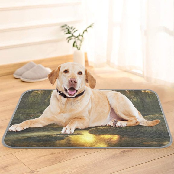 Pet Cooling Pad Foldable Self Cooling Mat Breathable Pet Cushion Sleep Pad for Dogs and Cats Forest Stream with Moss-covered S