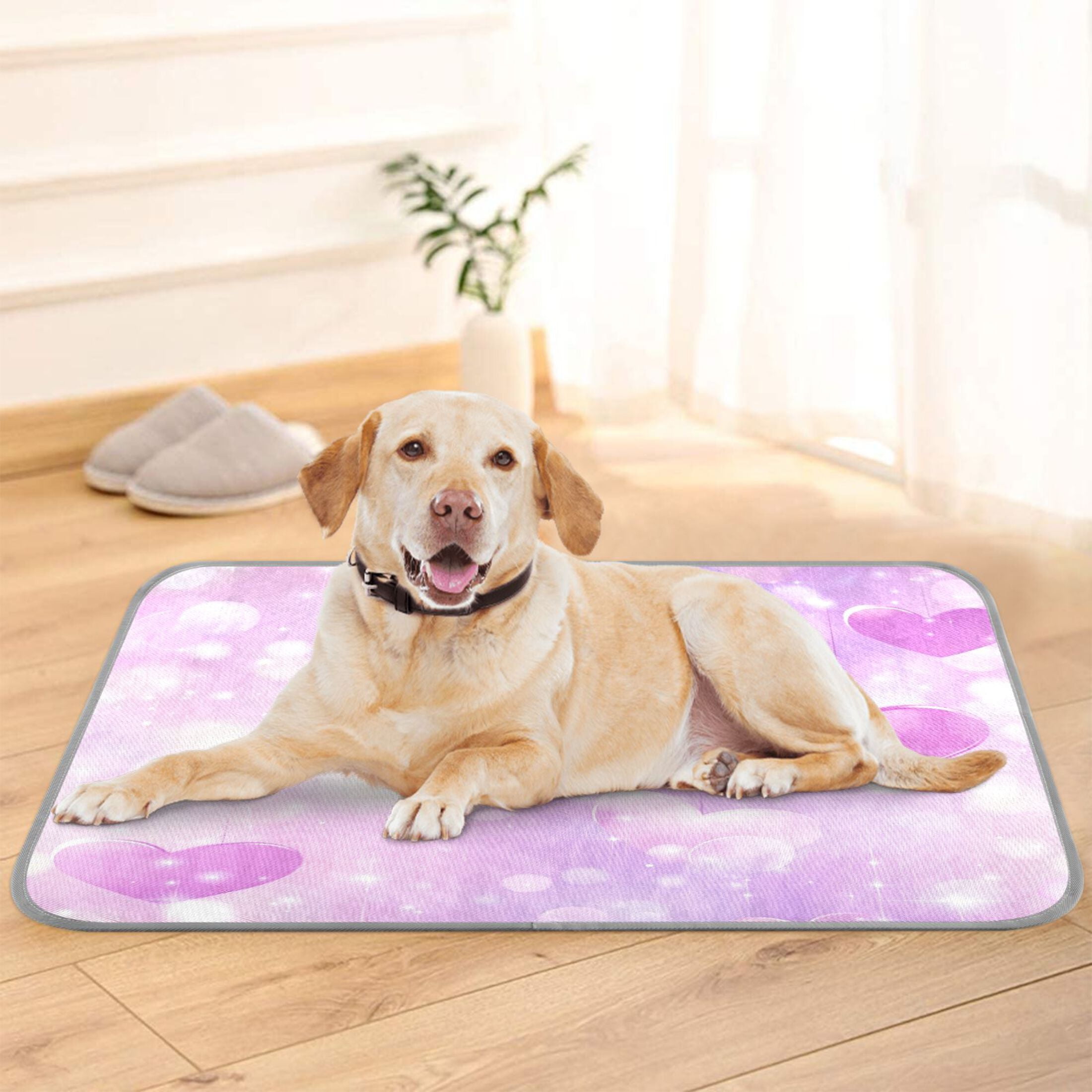 Image showcasing Pet Cooling Pad Foldable Self Cooling Mat Breathable Pet Cushion Sleep ...