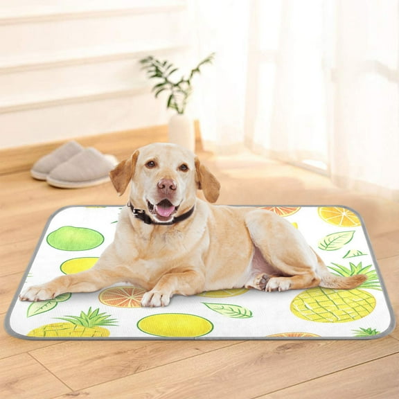 Pet Cooling Pad Foldable Self Cooling Mat Breathable Pet Cushion Sleep Pad for Dogs and Cats Mangoes and Pineapples Pattern M