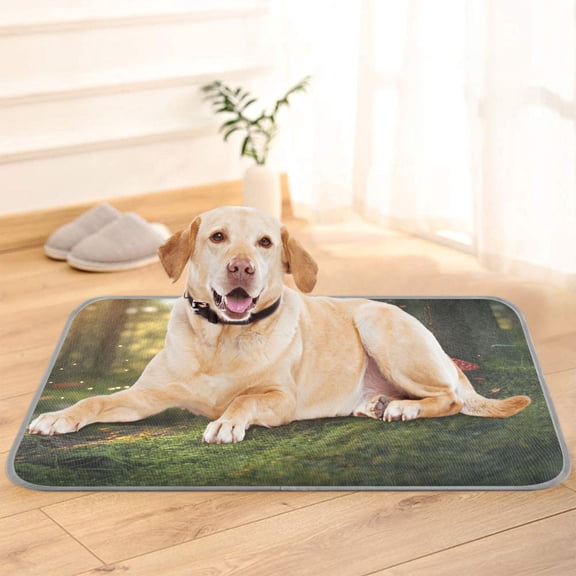 Pet Cooling Pad Foldable Self Cooling Mat Breathable Pet Cushion Sleep Pad for Dogs and Cats Moss and Red Mushrooms S