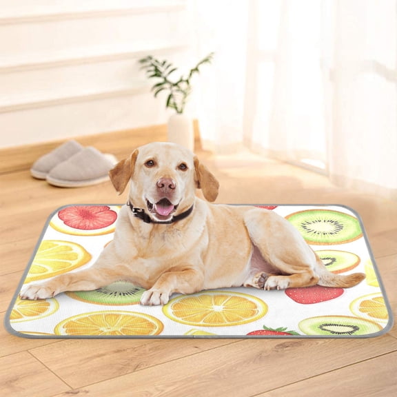 Pet Cooling Pad Foldable Self Cooling Mat Breathable Pet Cushion Sleep Pad for Dogs and Cats Sliced Fruit Pattern M