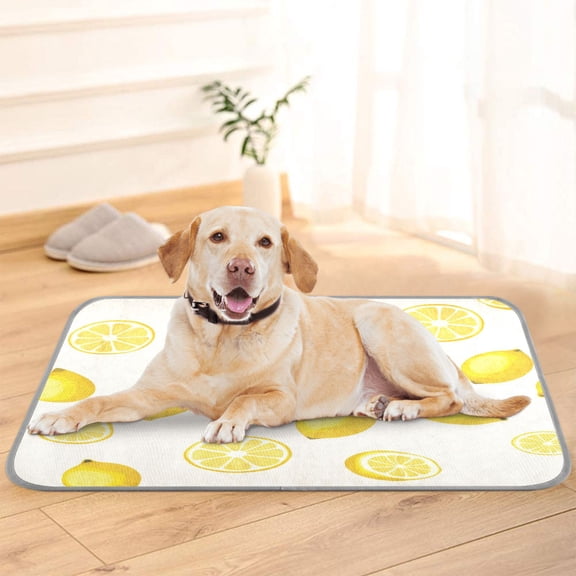 Pet Cooling Pad Foldable Self Cooling Mat Breathable Pet Cushion Sleep Pad for Dogs and Cats Yellow Lemon Pattern S