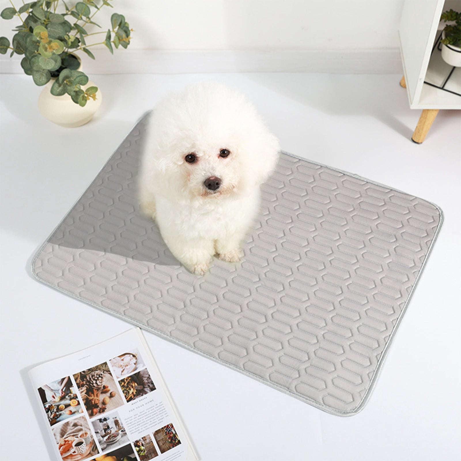 Snapshot of Pet Crate Liners For Outdoor Use On A Farm In Hot And Humid Weather