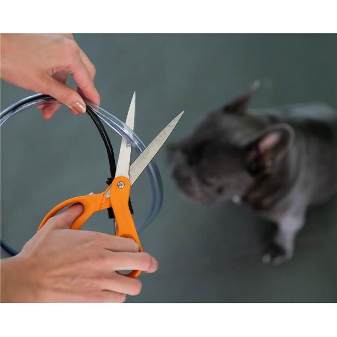 Pet Cords Dog & Cat Cord Protects Pets from Chewing Cables 10ft