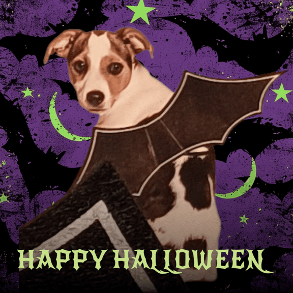 Pet Costume Bat Wings - Lightweight and Cute Halloween Accessory with Adjustable Straps
