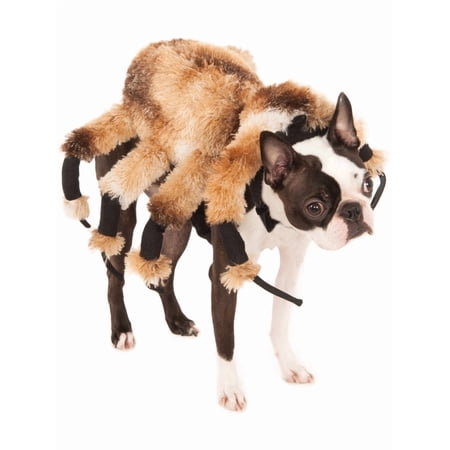 Rubies Costume Company Giant Spider Pet Costume Suit (Medium)