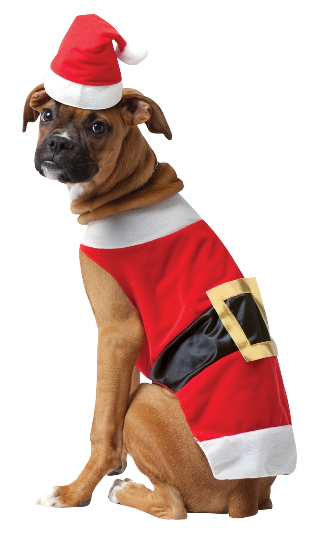 Merry & Bright XL Dog Present Box Costume Christmas Holiday Gift Outfit  X-Large