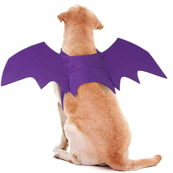 Pet Costumes Bat Wings for Puppy and Cat Halloween Dog Costumes Party Cosplay Decoration Black Apparel for Cat Small Dogs