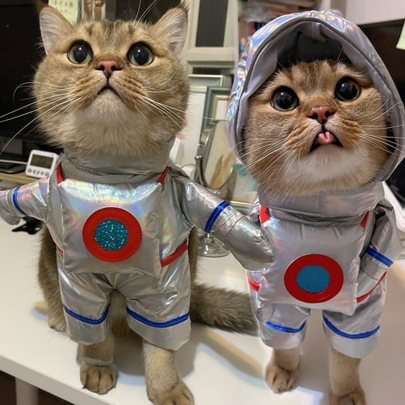 Pet Cothes for Pet Transformation Into An Astronaut Stands For A Halloween Funny Pet Clother Standing Clothes For Cat Astronauts Pet Clother Halloween Style