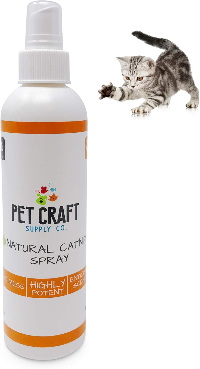 Pet Craft Supply Premium Maximum Potent All Natural Catnip for Cats, USA Grown & Harvested, 8 oz Value Spray Bottle
