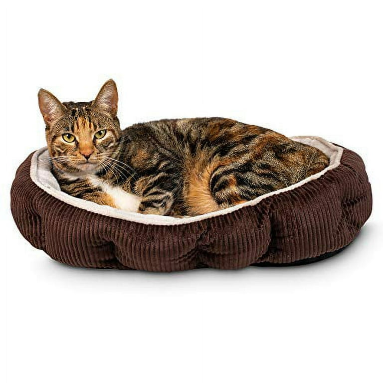 Catnip bed discount