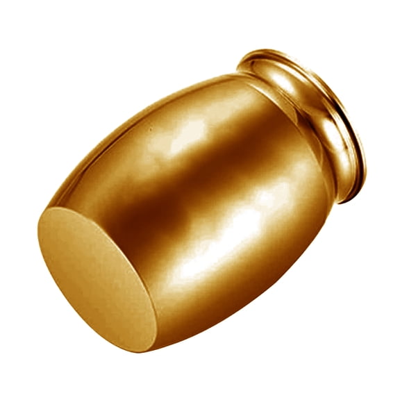 Memorial Dog Urns Pet Cremation Ashes Box with Memorial Word Pet Memory Souvenir AluminumAlloy Cats Urns for Pet Loss
