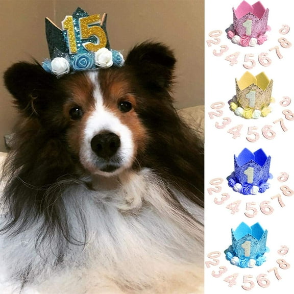Pet Crown Hat Dog Birthday Hat Reusable Birthday Party Crown for Pet Girl Cat Doggie Headband Hats with 0-9 Figures Charms Pet Gift Grooming Accessories with Glue Dots