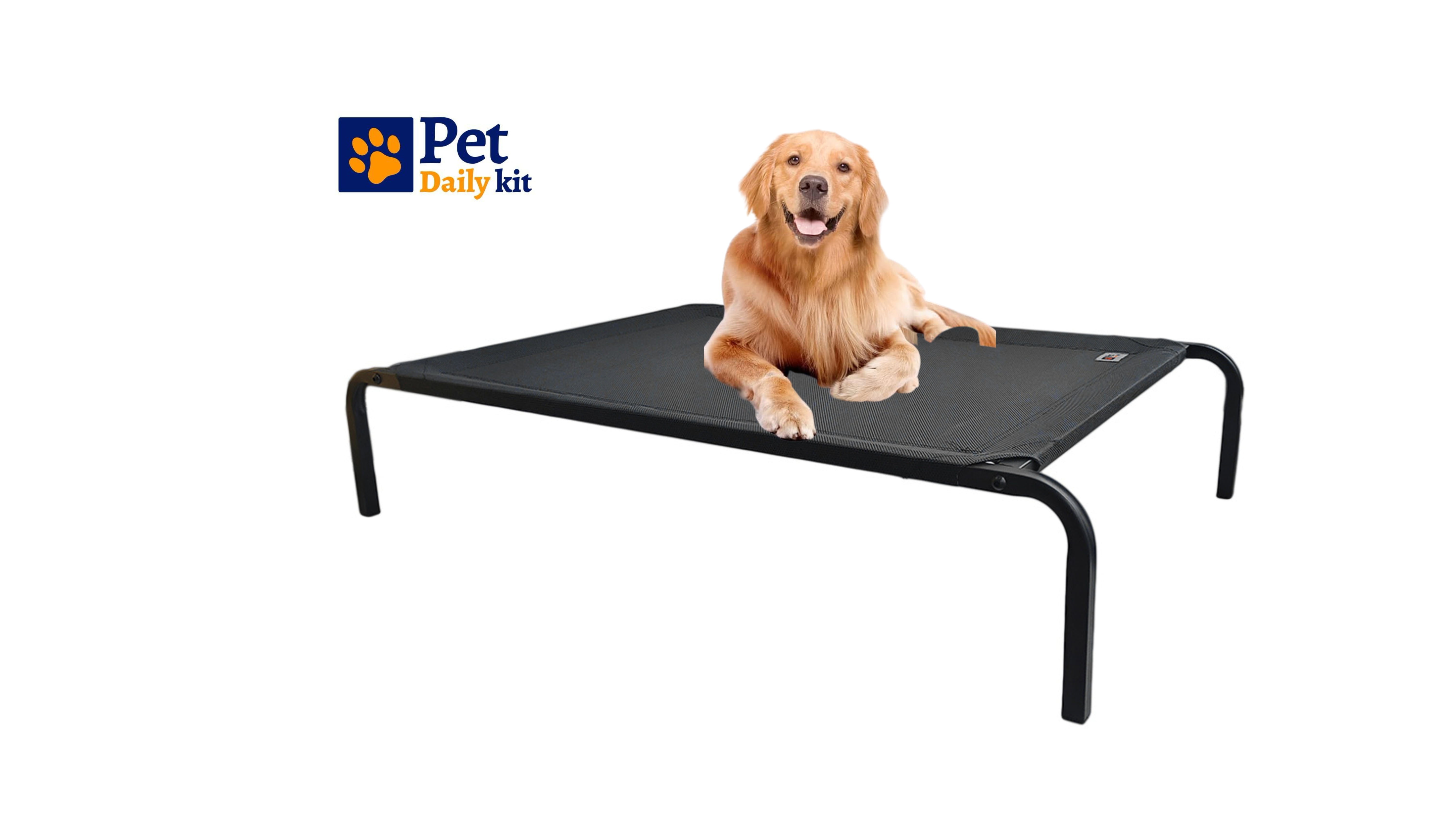 Pet Daily Kit Elevated Pet Bed with Durable Frame and Mesh, Easy to Assemble (Black, X-Large)
