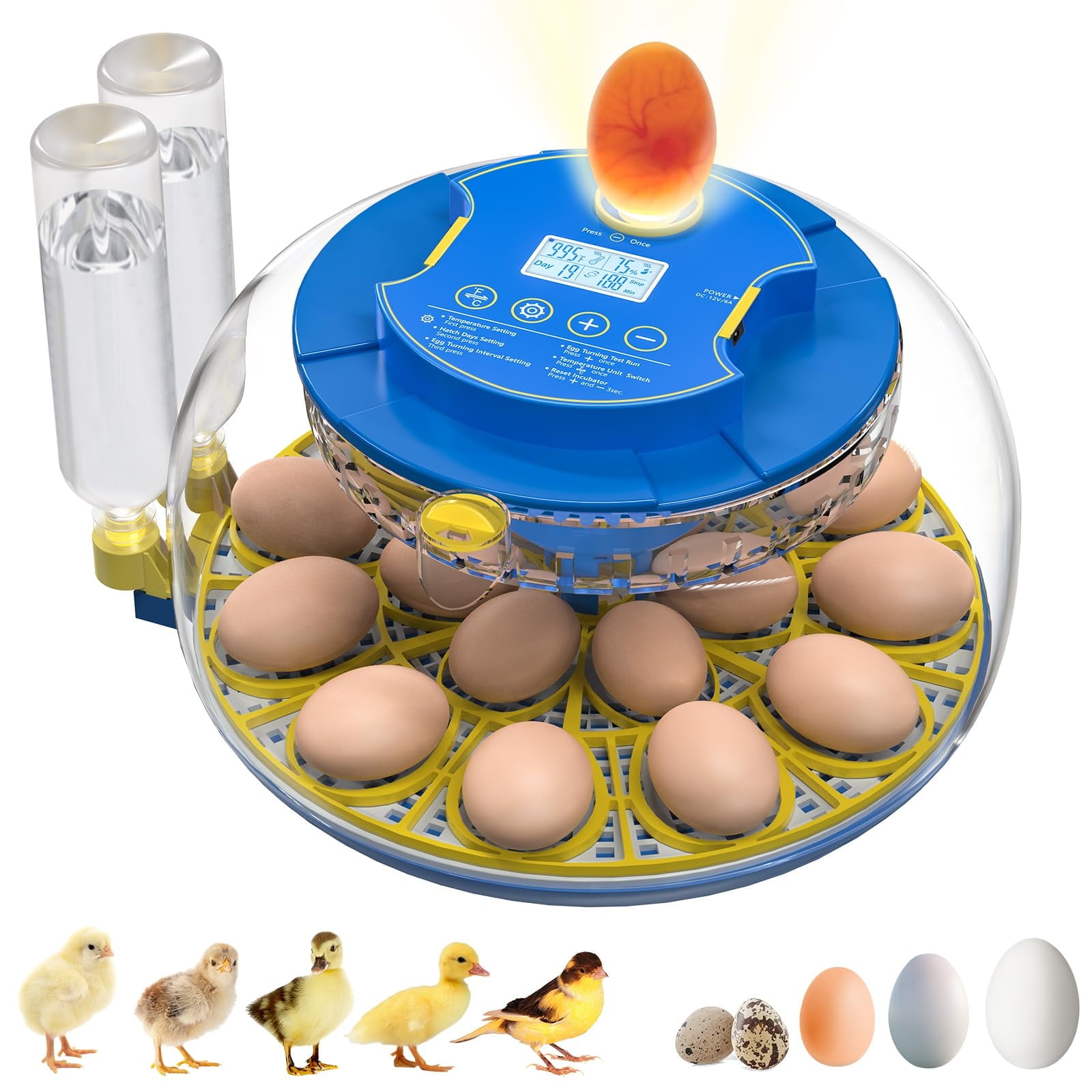 Pet Deluxe 18 Egg Incubator with Automatic Egg Turning and Humidity Control, 360 View Auto Water Adding, Egg Candler Incubators for Hatching Eggs for Chicken Ducks