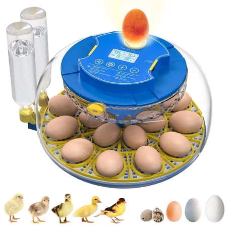 Pet Deluxe 18 Egg Incubator with Automatic Egg Turning and Humidity Control, 360° View Auto Water Adding, Egg Candler Incubators for Hatching Eggs for Chicken Ducks