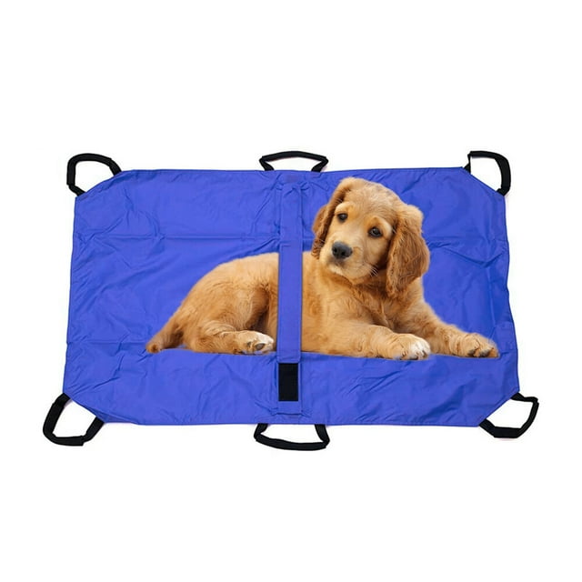 Pet Dog Animal Stretcher Veterinary Emergency Rescue Pet Carrier 6