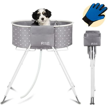 Image showcasing Pet Dryer Stainless Steel Dog Grooming Bath Tub Co Z At Kathy Foley ...