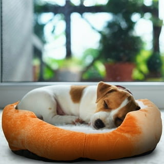Halo purely for 2024 pets dog bed