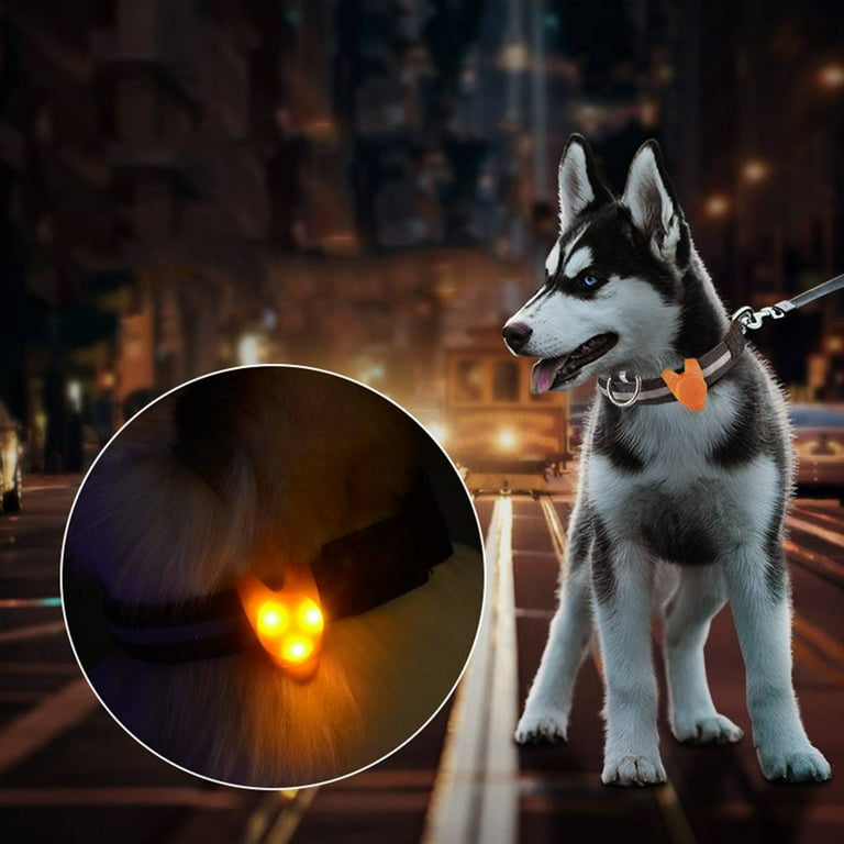 Pet Dog Cat Collar Super Bright LED Light Tags Clip on Collar