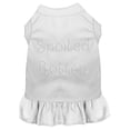 thumbnail image 1 of Pet Dog  Cat Dress Rhinestone, "Spoiled Rotten", 1 of 11