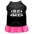 thumbnail image 1 of Pet Dog  Cat Dress Screen Printed, "Be Thankful For Me", 1 of 10