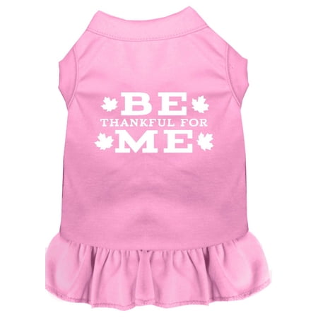 Pet Dog Cat Dress Screen Printed, "Be Thankful For Me"