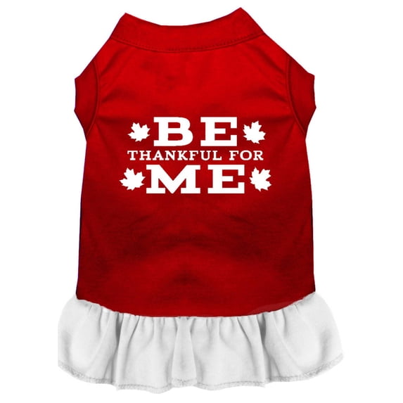 Pet Dog Cat Dress Screen Printed, "Be Thankful For Me"