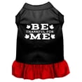 thumbnail image 1 of Pet Dog  Cat Dress Screen Printed, "Be Thankful For Me", 1 of 11