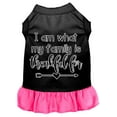 thumbnail image 1 of Pet Dog  Cat Dress Screen Printed, "I Am What My Family Is Thankful For", 1 of 10