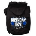 thumbnail image 1 of Pet, Dog  Cat Hoodie Screen Printed, "Birthday Boy", 1 of 8