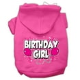 thumbnail image 1 of Pet, Dog  Cat Hoodie Screen Printed, "Birthday Girl", 1 of 10