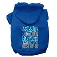 thumbnail image 1 of Pet, Dog  Cat Hoodie Screen Printed, "Elsa, The Cold Bothers Us", 1 of 10