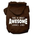 thumbnail image 1 of Pet Dog  Cat Hoodie Screen Printed, "This Is What Awesome Looks Like", 1 of 11