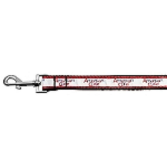 Pet Dog Cat Nylon Collar or Leash, "American Cutie"