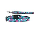 thumbnail image 1 of Pet Dog  Cat Nylon Collar or Leash, "Aqua Love", 1 of 4