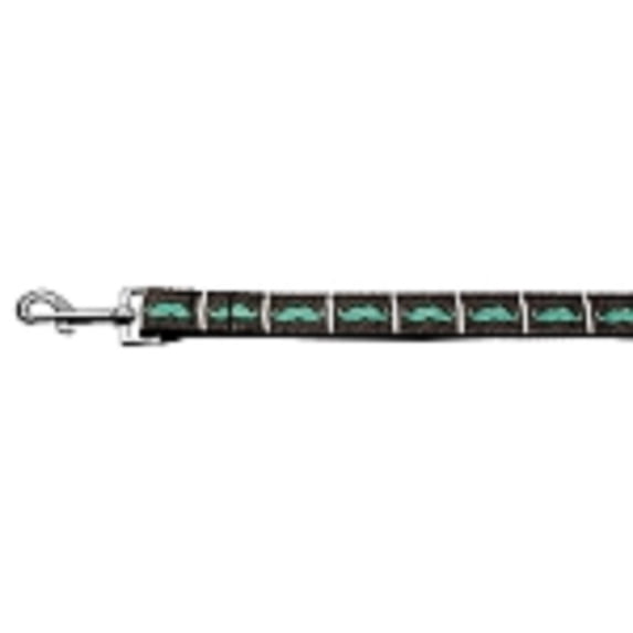 Pet Dog Cat Nylon Collar or Leash, "Aqua Moustaches"