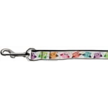 Bright Owls Nylon Ribbon Collars 1 wide 6ft Leash