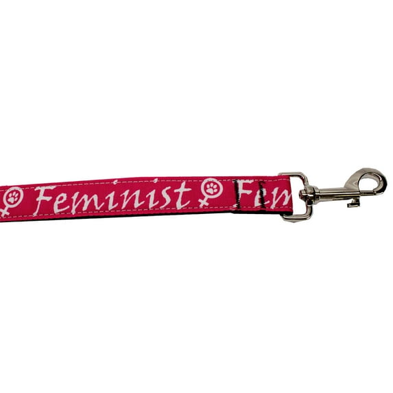 Pet Dog Cat Nylon Collar or Leash, "Feminist"