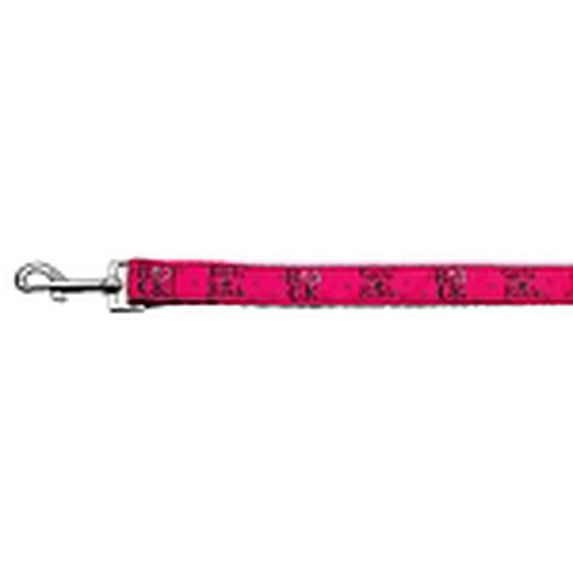 Pet Dog Cat Nylon Collar or Leash, "Girls Rock"