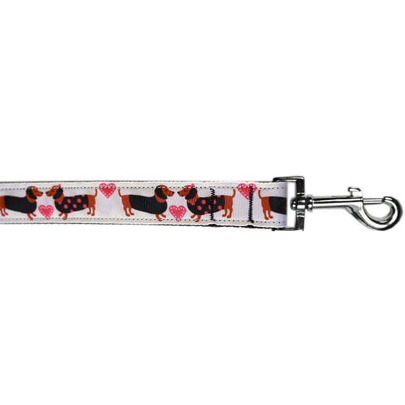 Pet Dog Cat Nylon Collar or Leash, "Pink Doxie Love"