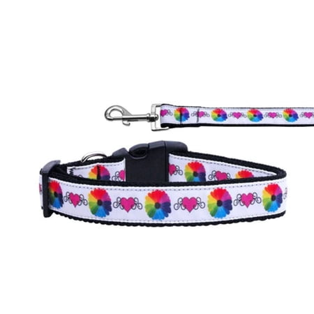 Pet Dog Cat Nylon Collar or Leash, "Technicolor Love"