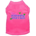 thumbnail image 1 of Pet Dog  Cat Shirt Screen Printed, "Big Sister", 1 of 10
