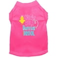 thumbnail image 1 of Pet Dog  Cat Shirt Screen Printed, "Chicks Rule, Bunnies Drool", 1 of 10