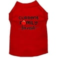 thumbnail image 1 of Pet Dog  Cat Shirt Screen Printed, "Current Family Favorite", 1 of 10