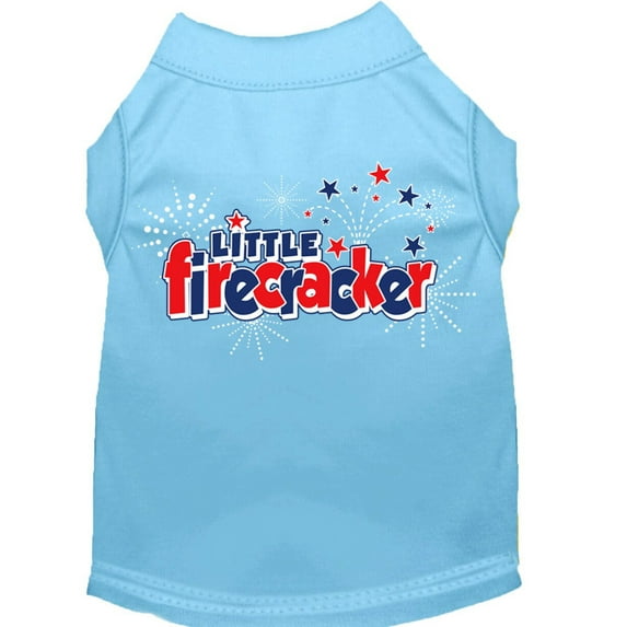 Little Firecracker Screen Print Shirts Baby Blue S (10)